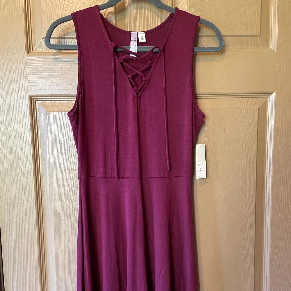 Francesca's Plum Skater Dress